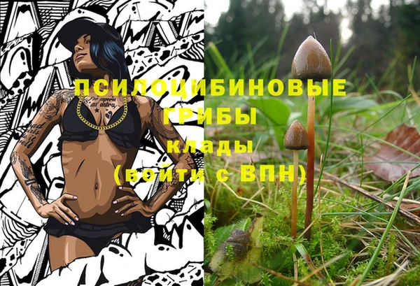 СК Строитель